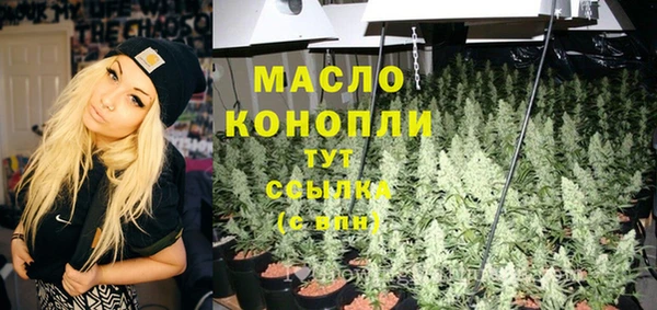 гашик Гусь-Хрустальный