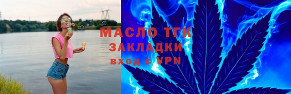 гашик Гусь-Хрустальный