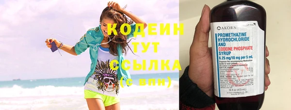 прущие грибы Гусиноозёрск