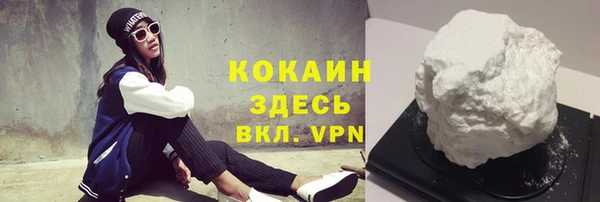 PSILOCYBIN Гусев