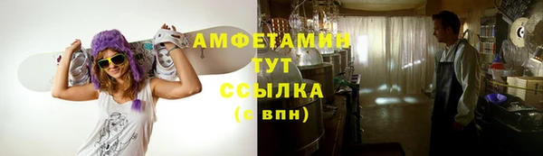 прущие грибы Гусиноозёрск