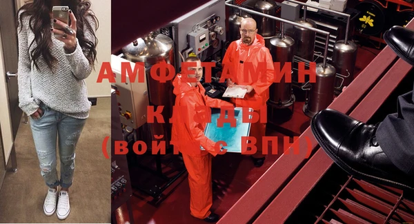 гашик Гусь-Хрустальный