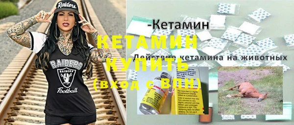 прущие грибы Гусиноозёрск