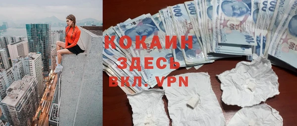 прущие грибы Гусиноозёрск