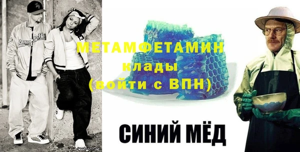 прущие грибы Гусиноозёрск