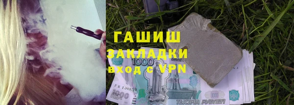 прущие грибы Гусиноозёрск