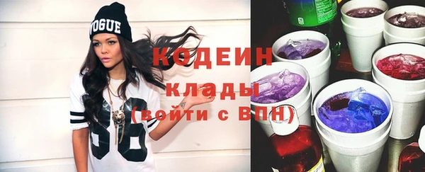 прущие грибы Гусиноозёрск